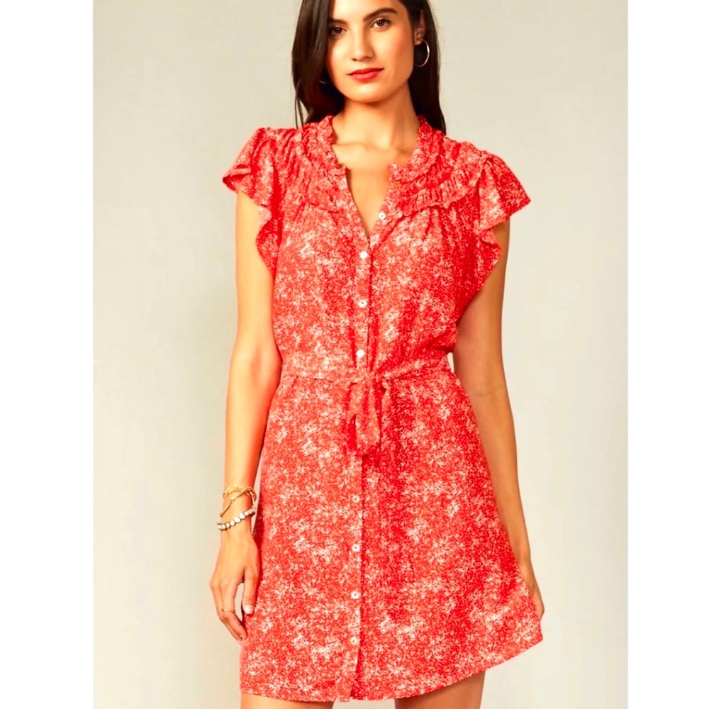 EUC Greylin Lenza Gathered Detail Print Dress